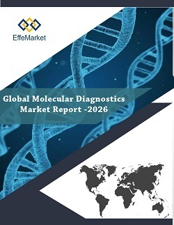 Global Molecular Diagnostics Market Report: 2026
