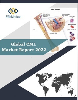 Global CML Market Report: 2022